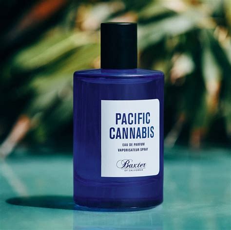 pacific cannabis baxter of california